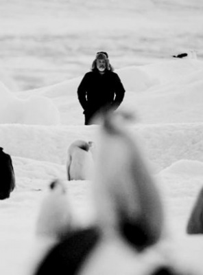 Voyage au pôle sud